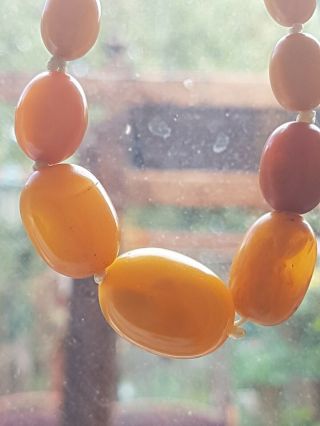 Antique Butterscotch Egg Yolk Amber Bead Necklace 100 Natural 5