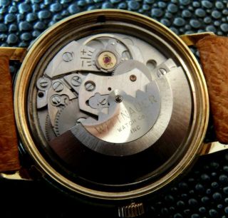 Flawless,  serviced vintage Wittnauer Geneve auto gent ' s wristwatch,  PERFECT DIAL 6