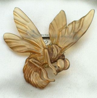 Antique Jewellery Art Nouveau French Carved Horn Bee/hornet/insect Brooch/pin