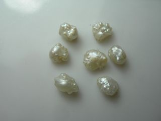 7 Rare Natural Mississippi River Pearls Rose Bud Uncultured Fw 1/2 Drilled Pearl