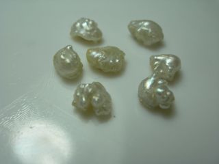 7 rare Natural Mississippi River Pearls ROSE BUD Uncultured FW 1/2 drilled pearl 5