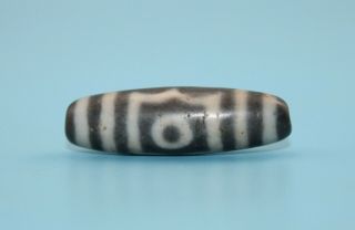 41 13 mm Antique Dzi Agate old 9 eyes Bead from Tibet 5