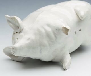 ANTIQUE SCOTTISH WEMYSS WHITE GLAZED PIG c.  1900 4