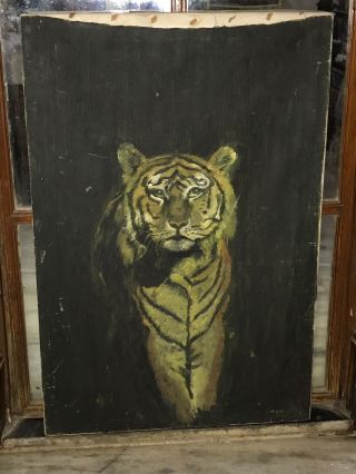 Rare Vintage 30” Bengal Tiger Cat Portrait Canvas Oil Painting 40s Raksha Mehta