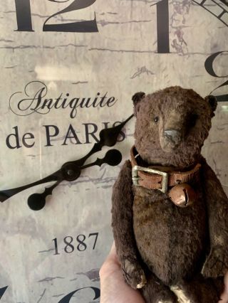 Whendi’s Bear By Artist Wendy Meagher Great Brown Color With Leather Collar