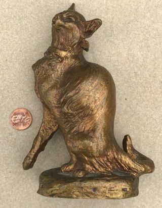 Antique Bronze Cat With Bell Collar Signed Thomas Cartier With Foundry Stamp Nr