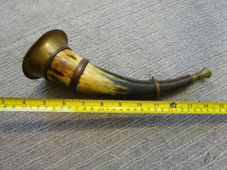 Vintage Decorated Bovine Horn