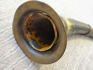 Vintage Decorated Bovine Horn 3
