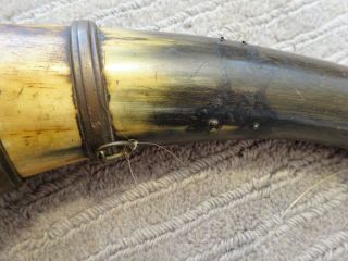 Vintage Decorated Bovine Horn 4