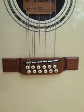 Ultra - Rare Vintage 1988 Washburn Electric/Acoustic 12 String Guitar 6