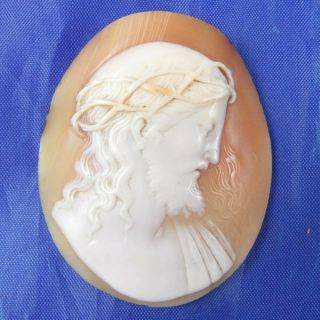 Stunning Antique Carved Shell Cameo Of Jesus Signed Mazzoni For Brooch