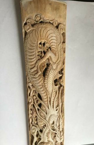 natural swordfish bill sword scrimshaw dragons and phoenix 2