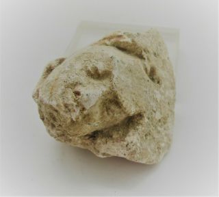 Ancient Gandhara Stucco Buddha Statue Fragment Male Face