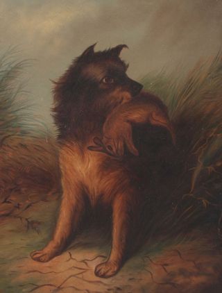 19thC Antique Chapman American Folk Art Oil Painting,  Terrier Dog Hunting Rabbit 3