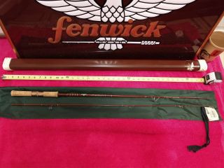 Vintage Fenwick Fs60 Spinning Rod Ultralight 1 - 3 Lb Line 1/8 - 1/4 Oz Sick & Tube