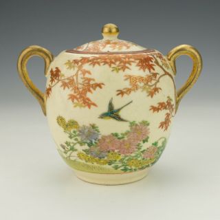 Vintage Japanese Satsuma Pottery - Bird & Tree Decorated Lidded Sugar Box
