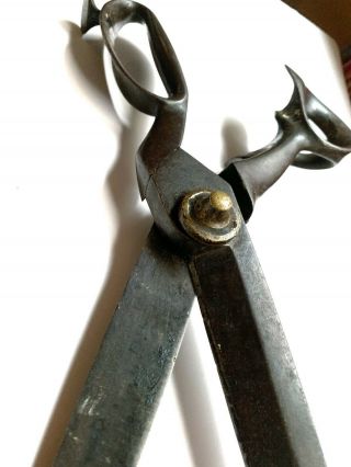 Vintage Wilkinson & Son Sheffield Large Scissors,  Shears,  Tailors Blades 15 Inch 3