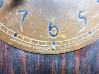 Rare Antique American Cuckoo Clock 1 Day - in 3