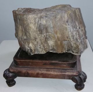 Antique Pre Embargo Cuban Petrified Wood From Their Enigmatic Fossil Forest.