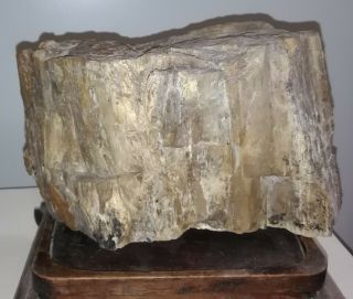 Antique pre embargo Cuban Petrified wood from their enigmatic fossil forest. 2