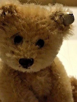 Antique Vintage Miniature STEIFF Teddy Bear 3.  5 Button in ear Germany circa 1952 2