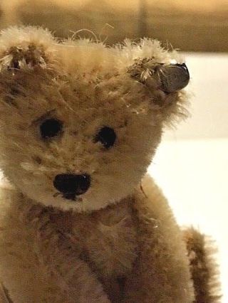 Antique Vintage Miniature STEIFF Teddy Bear 3.  5 Button in ear Germany circa 1952 3