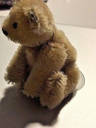 Antique Vintage Miniature STEIFF Teddy Bear 3.  5 Button in ear Germany circa 1952 5