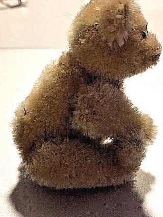 Antique Vintage Miniature STEIFF Teddy Bear 3.  5 Button in ear Germany circa 1952 6