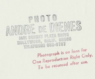Vintage Andre de Dienes LARGE LADY Fine Art Nude Figure Photograph Water Nymph 4
