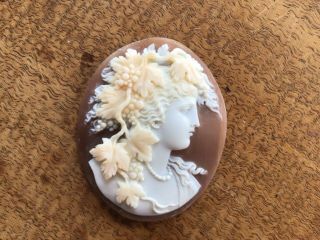 Antique Victorian Shell Large Cameo Of Woman W/ Grapes I (unmounted)