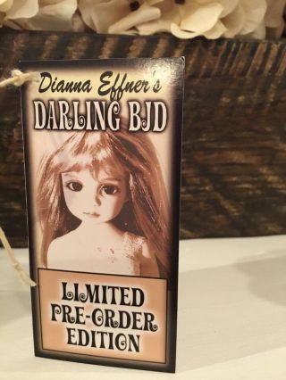 Dianna’s Darling BJD Pre - Order Edition.  Resin Sculpted By Dianna Effner RARE. 9