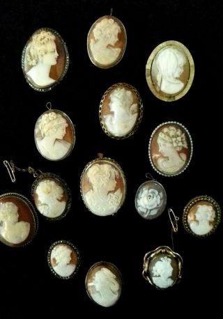 Fourteen Antique & Vintage Hand Carved Shell Cameo Brooches/pendants.