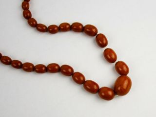 Egg Yolk Amber Smooth Oval Bead Graduated Necklace Vintage 120 g | 40 
