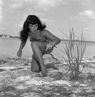 Bettie Page 1954 Camera Negative Bunny Yeager Sheena Jungle Girl With Snake Rare
