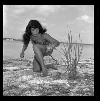 Bettie Page 1954 Camera Negative Bunny Yeager Sheena Jungle Girl With Snake Rare 2