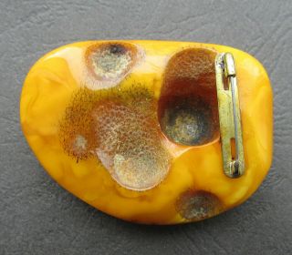 Natural Antique Butterscotch Egg Yolk Baltic Amber Brooch 2