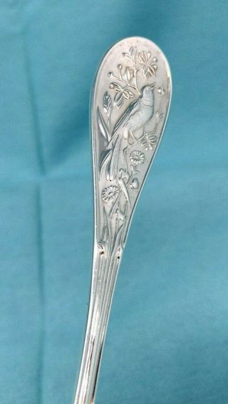 TIFFANY & CO Sterling Silver Audubon Salad Fork.  No Monogram.  6.  50 