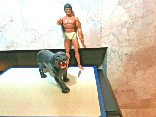 Vintage 1971 Mattel Big Jim Jeff Tarzan W/Black Panther 10” Jungle Cat E - 76 2