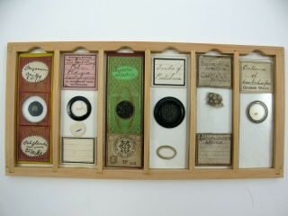 Cased Set of 36 Victorian Antique Microscope Slides. 4