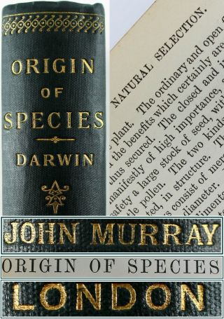 1899 Charles Darwin The Origin Of Species 6th Edition Evolution Antique Book