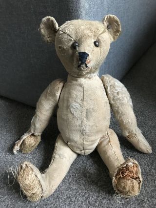 13” Early Antique Steiff Teddy Bear Shoe Button Eyes W/ Old Ff Button Tattered
