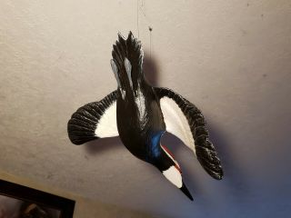 Pileated woodpecker wood carving flying woodpecker duck decoy Casey Edwards 5