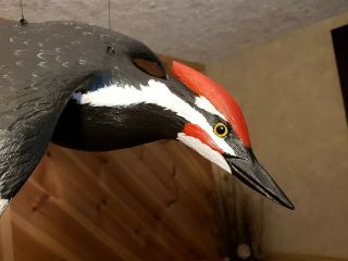 Pileated woodpecker wood carving flying woodpecker duck decoy Casey Edwards 8