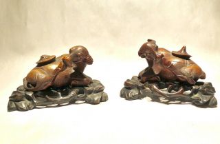 Antique Chinese Carved Wood Water Buffalo Sculptures