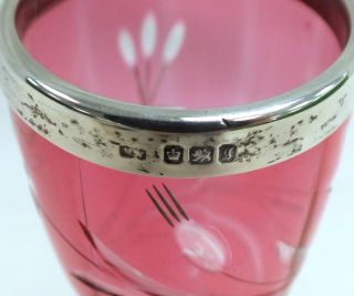 Antique Sterling Silver And Cut Pink Glass CHAMPAGNE GLASS Hallmarked 1899 - N37 3