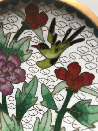OLD Family ESTATE,  A Fine Chinese Antique Cloisonne Plate / Dish Hummingbird 2