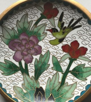 OLD Family ESTATE,  A Fine Chinese Antique Cloisonne Plate / Dish Hummingbird 3