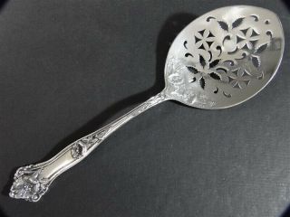 Rare Alvin Morning Glory Sterling Silver 8 - 3/8” Tomato Server No Monogram