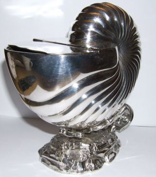 Victorian Silver Plated Nautilus Shell Spoon Warmer Roberts & Belk 3