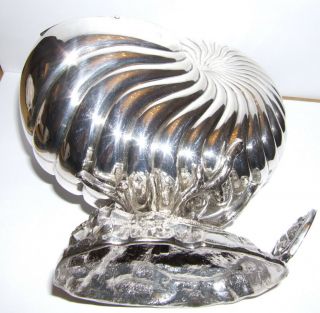 Victorian Silver Plated Nautilus Shell Spoon Warmer Roberts & Belk 4